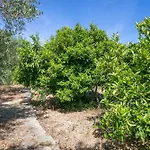 Secluded Fisherman's Cove Fabrice, Solta - 8692 Grohote