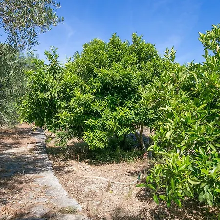 Secluded Fisherman's Cove Fabrice, Solta - 8692 Грохоте